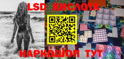 прущие грибы Обнинск