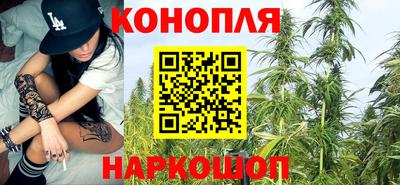 прущие грибы Обнинск