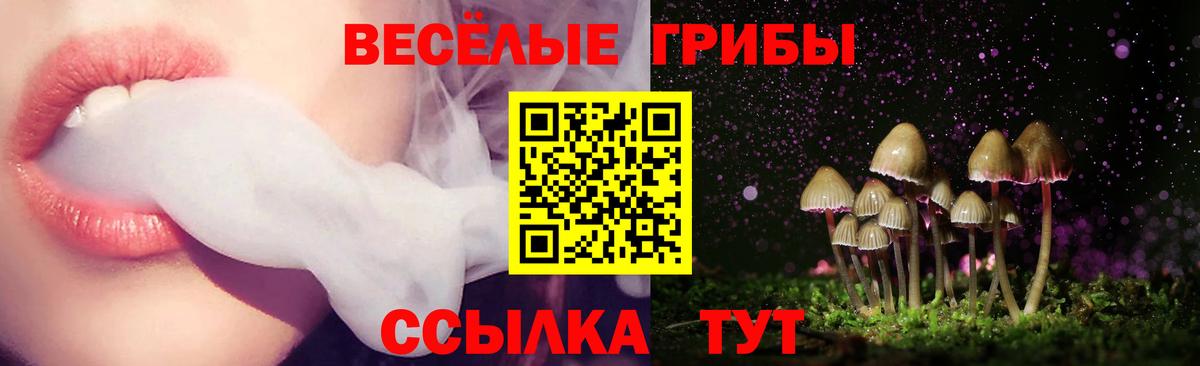 Галлюциногенные грибы мухоморы  Вход с VPN  Галлюциногенные грибы MAGIC MUSHROOMS  Таганрог 